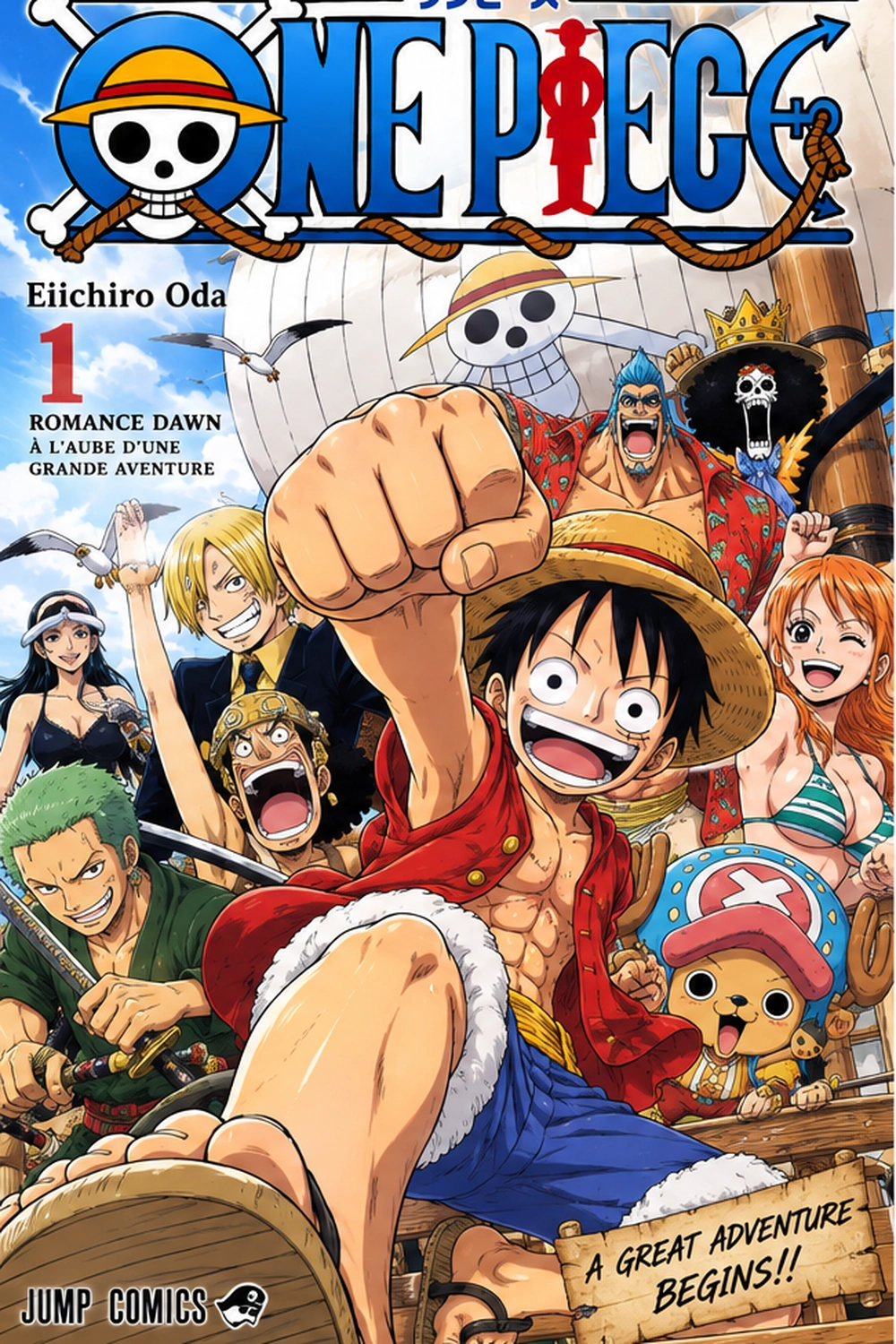 One Piece cover